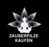zauberpilze kaufen