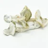 Albino A+ Pilze