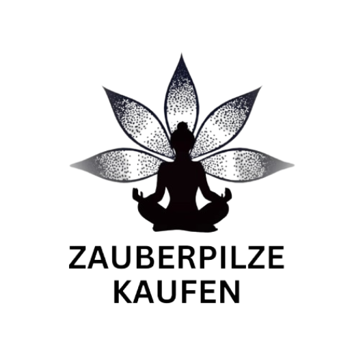 Zauberpilze Kaufen