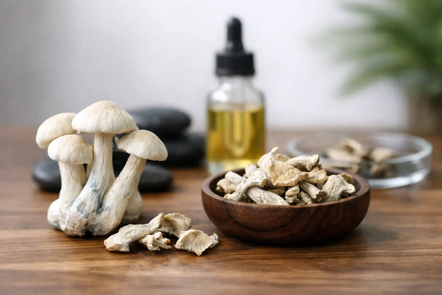 Albino A+ Erfahrung: Wirkung, Stärke, Kauf