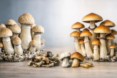 Penis Envy oder Golden Teacher?