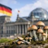Sind Magic Mushrooms legal in Deutschland?